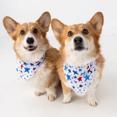 Bright Stars Pet Bandana