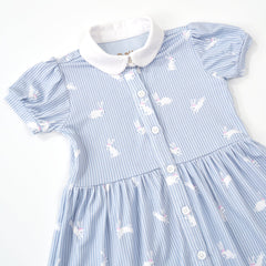 Bunny Stripe Button Down Dress with Bloomer