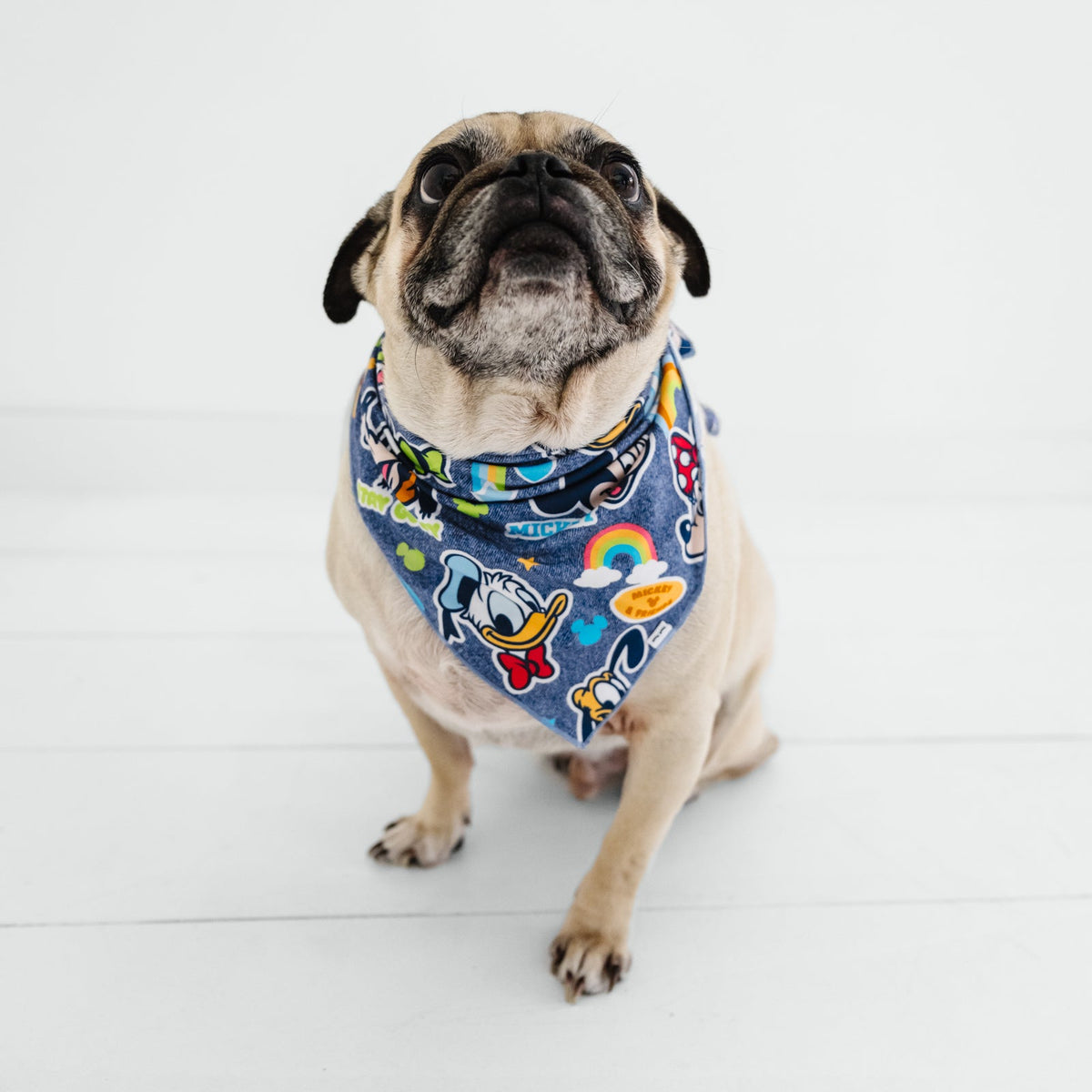 Navy Disney Mickey's Clubhouse Pet Bandana