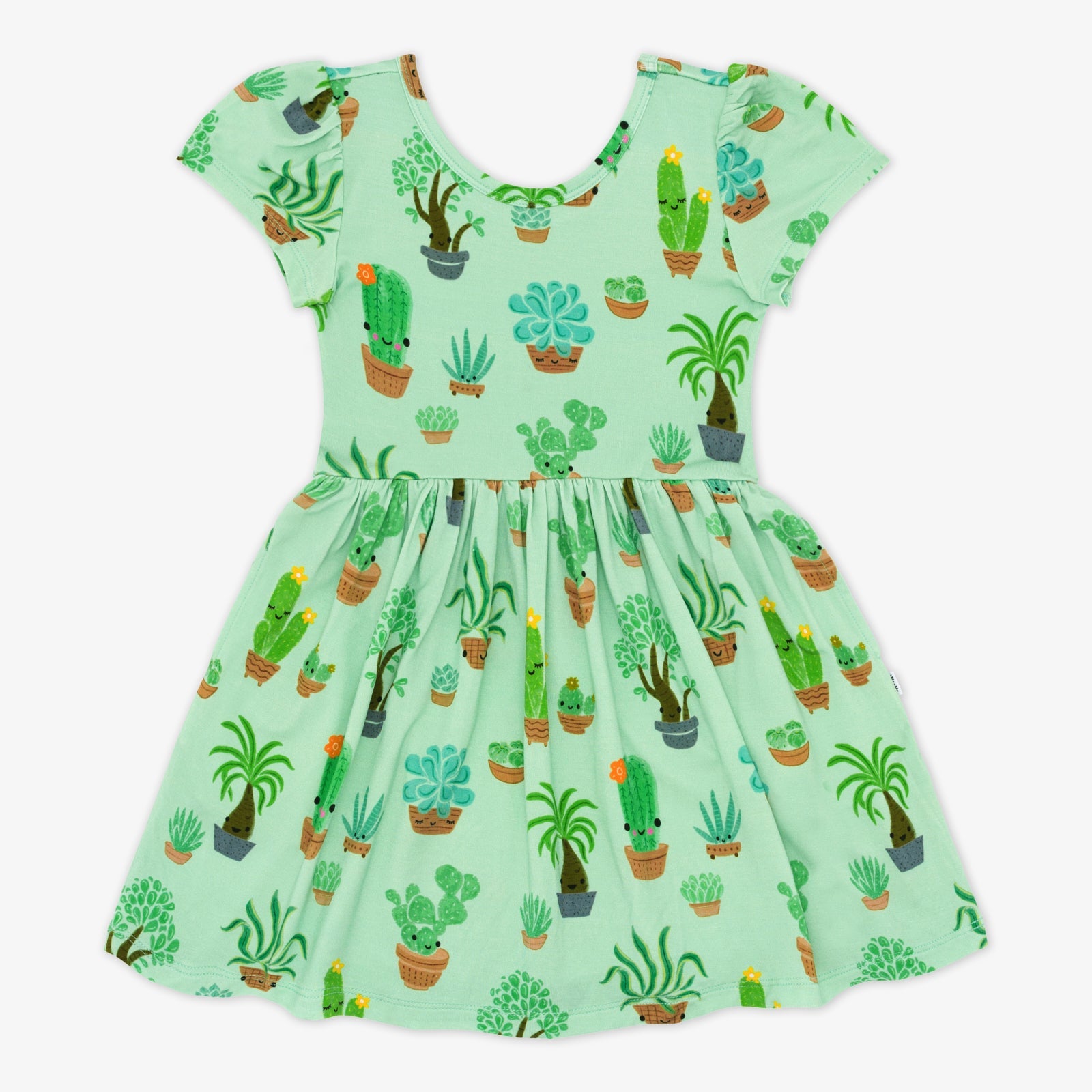 Succulent Love Skater Dress